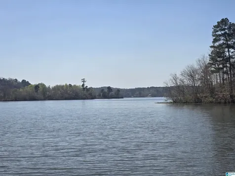Lot 18 Eagle Point Trace Rockford AL 35136