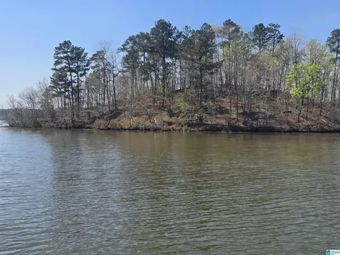 Lot 18 Eagle Point Trace Rockford AL 35136