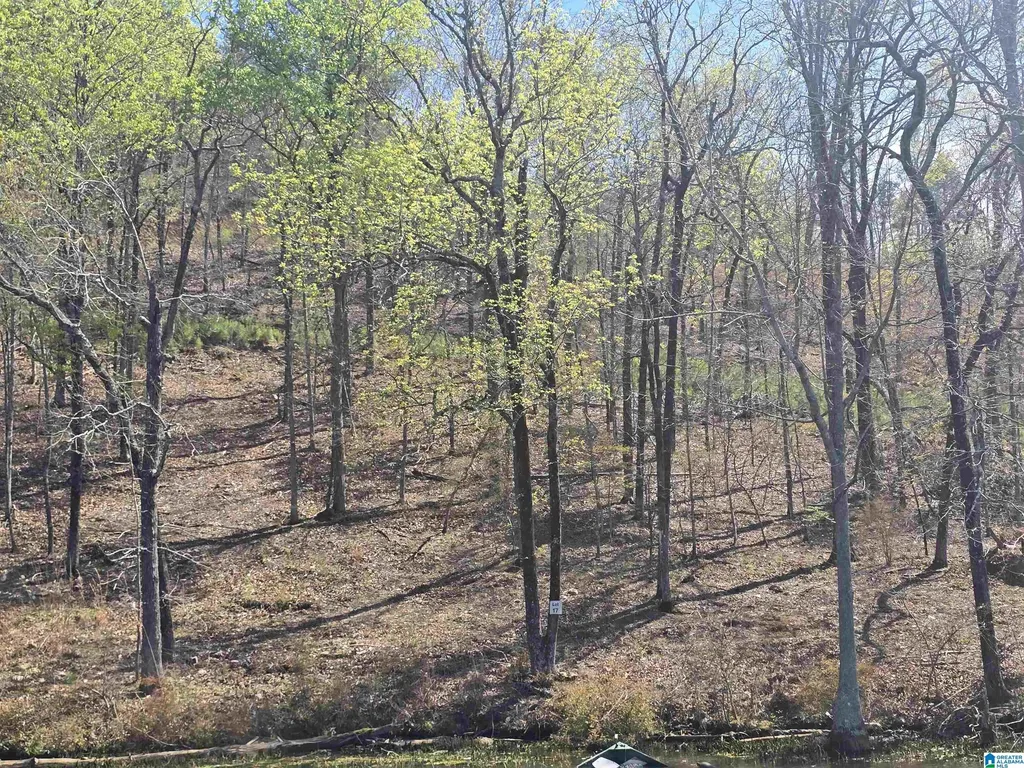 Lot 17 Eagle Point Trace Rockford AL 35136