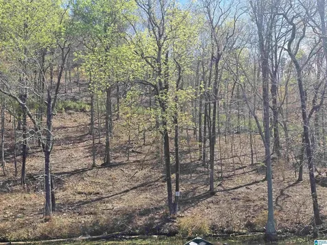 Lot 17 Eagle Point Trace Rockford AL 35136