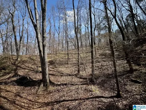 219 Pine Ridge Road Bessemer AL 35023