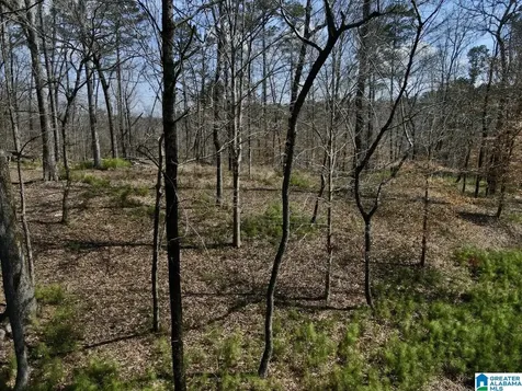 219 Pine Ridge Road Bessemer AL 35023