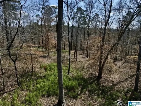 219 Pine Ridge Road Bessemer AL 35023