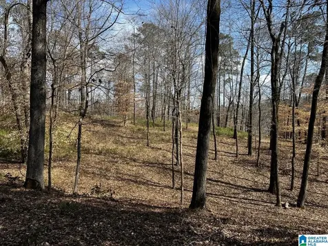 219 Pine Ridge Road Bessemer AL 35023