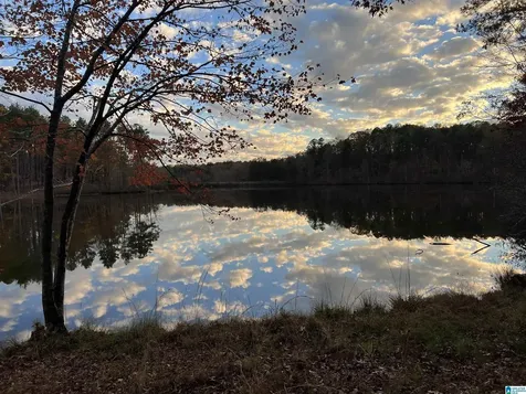 0 Deer Run Road Alabaster AL 35007