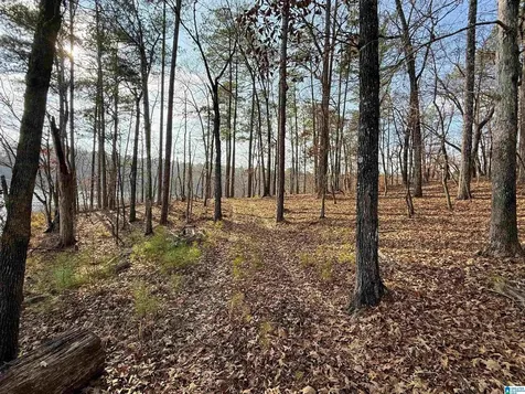 0 Deer Run Road Alabaster AL 35007