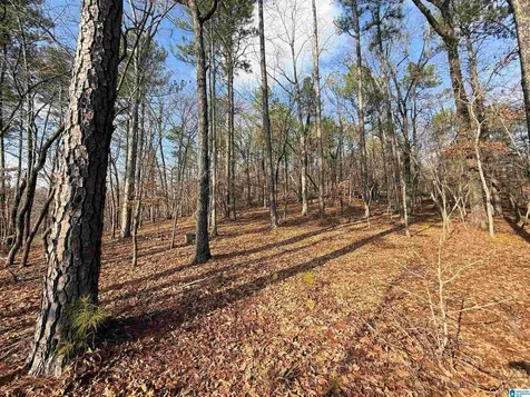 0 Deer Run Road Alabaster AL 35007