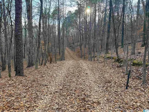 0 Deer Run Road Alabaster AL 35007