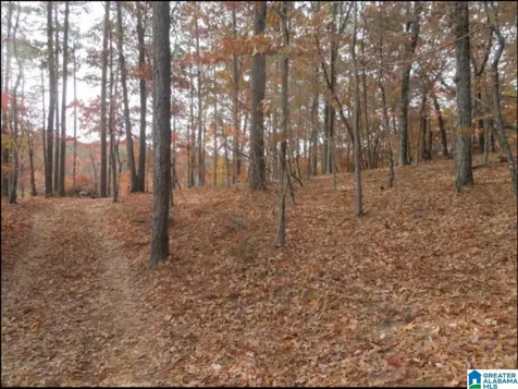 0 Deer Run Road Alabaster AL 35007