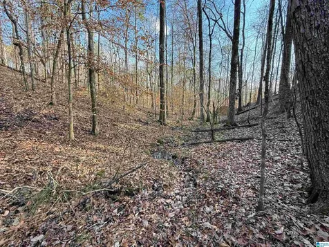 0 Deer Run Road Alabaster AL 35007
