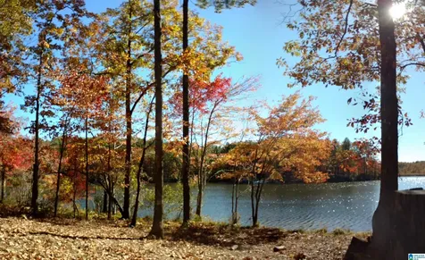0 Deer Run Road Alabaster AL 35007