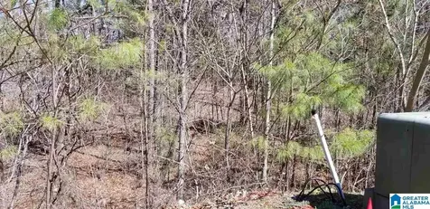 Morningview Cove Chelsea AL 35147