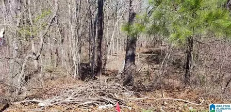 Morningview Cove Chelsea AL 35147