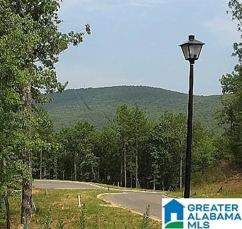 Morningview Cove Chelsea AL 35147