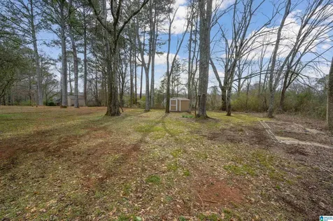 2025 Phillips Circle Leeds AL 35094