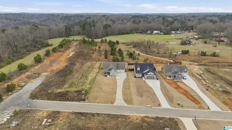 1458 Brooks Drive Mount Olive AL 35117