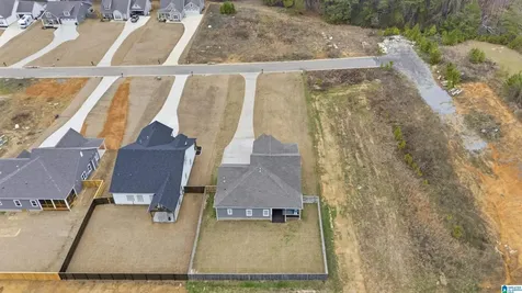 1458 Brooks Drive Mount Olive AL 35117