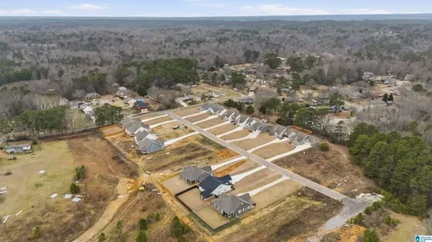 1458 Brooks Drive Mount Olive AL 35117