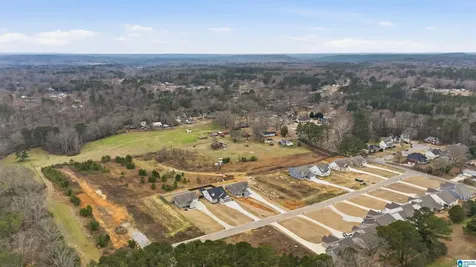 1458 Brooks Drive Mount Olive AL 35117