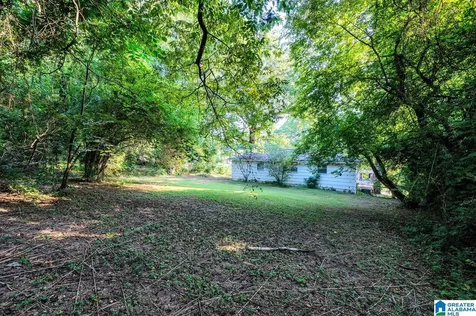 513 20th Avenue NE Center Point AL 35215