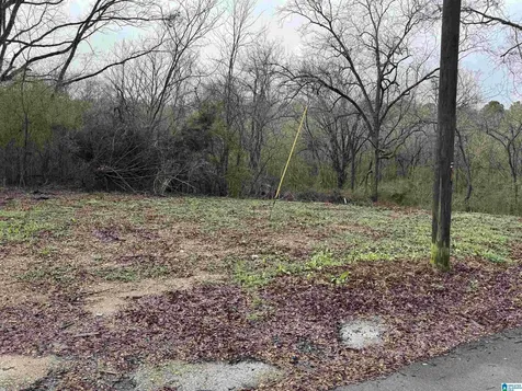 7813 Churchill Drive Leeds AL 35094