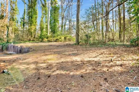 1001 Tammy Anne Drive Birmingham AL 35235