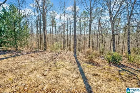 1025 Willowbrook Road Birmingham AL 35215