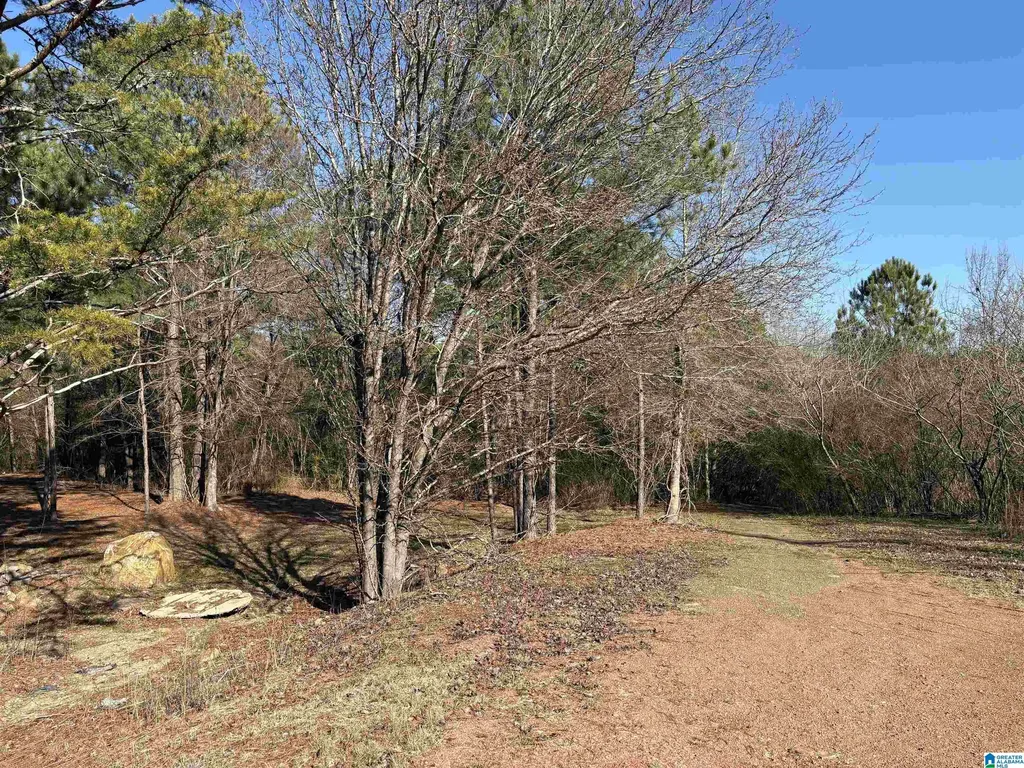 0 Lora Lane Birmingham AL 35214