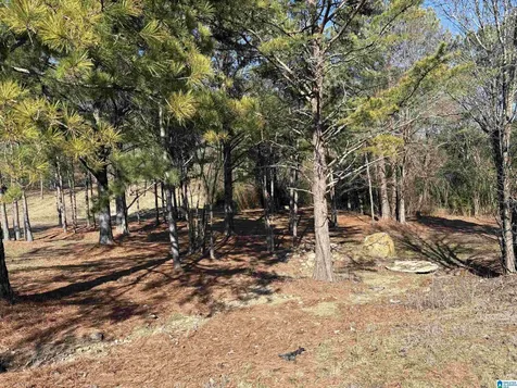 0 Lora Lane Birmingham AL 35214