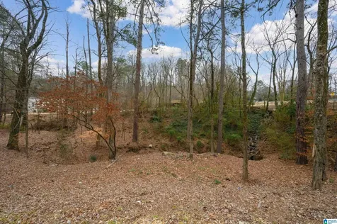1311 Columbiana Road Homewood AL 35216