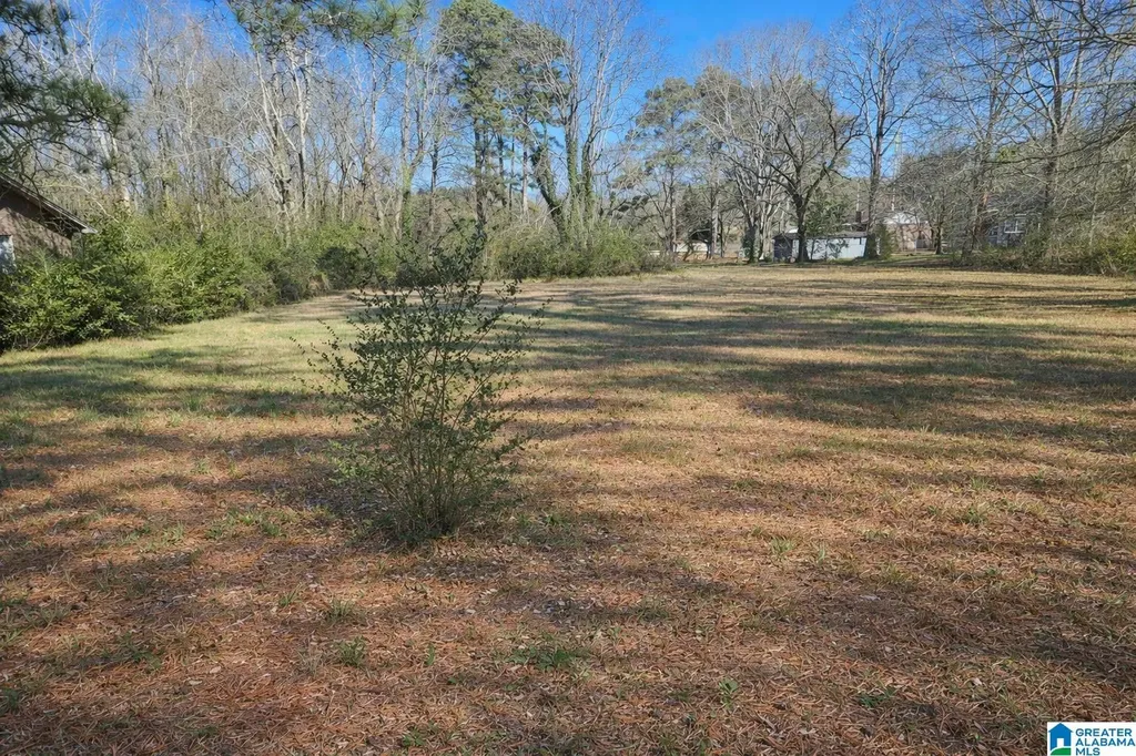 524 Roebuck Forest Drive Birmingham AL 35206