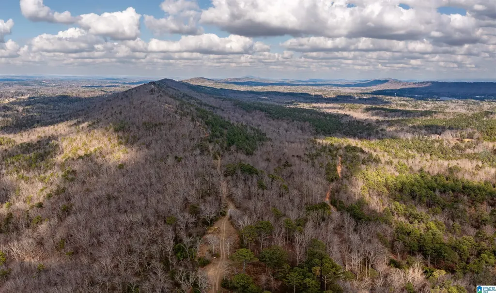 3717 Springstone Trail Leeds AL 35094