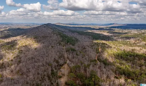 3717 Springstone Trail Leeds AL 35094