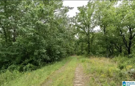 3717 Springstone Trail Leeds AL 35094