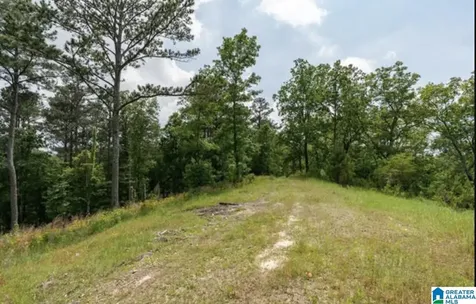 3717 Springstone Trail Leeds AL 35094