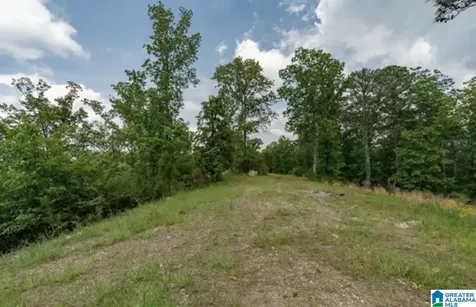 3717 Springstone Trail Leeds AL 35094