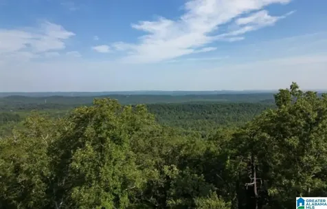 3717 Springstone Trail Leeds AL 35094