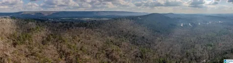 3717 Springstone Trail Leeds AL 35094