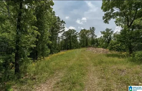 3717 Springstone Trail Leeds AL 35094