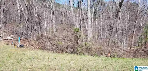 Lot 40 Autumn View Drive Chelsea AL 35147