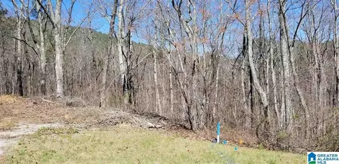 Lot 40 Autumn View Drive Chelsea AL 35147