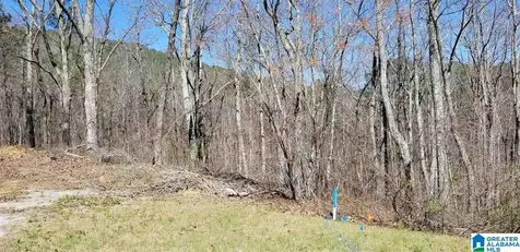 Lot 40 Autumn View Drive Chelsea AL 35147