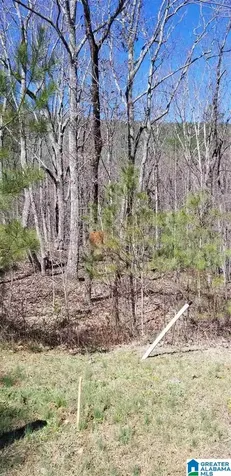 Lot 40 Autumn View Drive Chelsea AL 35147