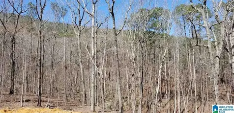 Lot 40 Autumn View Drive Chelsea AL 35147