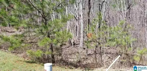 Lot 40 Autumn View Drive Chelsea AL 35147
