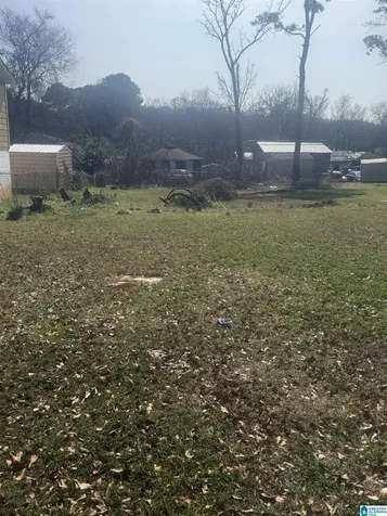 3717 Grasselli Avenue SW Birmingham AL 35221