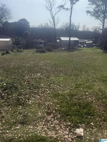 3717 Grasselli Avenue SW Birmingham AL 35221
