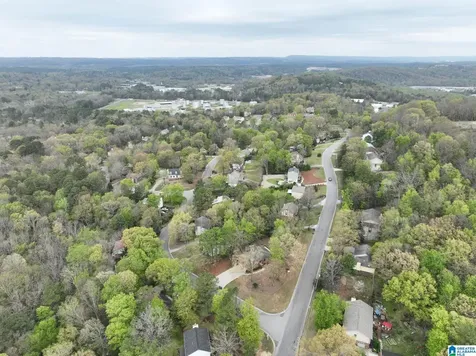 1361 Dearing Downs Circle Helena AL 35080