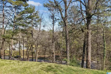 1289 Havenview Drive Pelham AL 35124