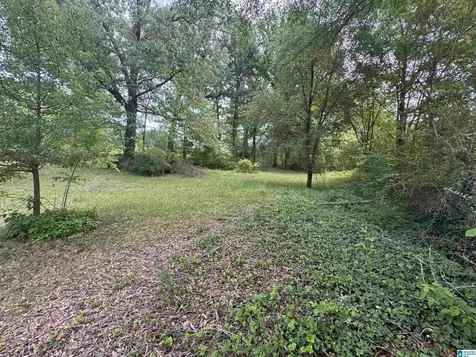 3573 Queenstown Road Trussville AL 35173